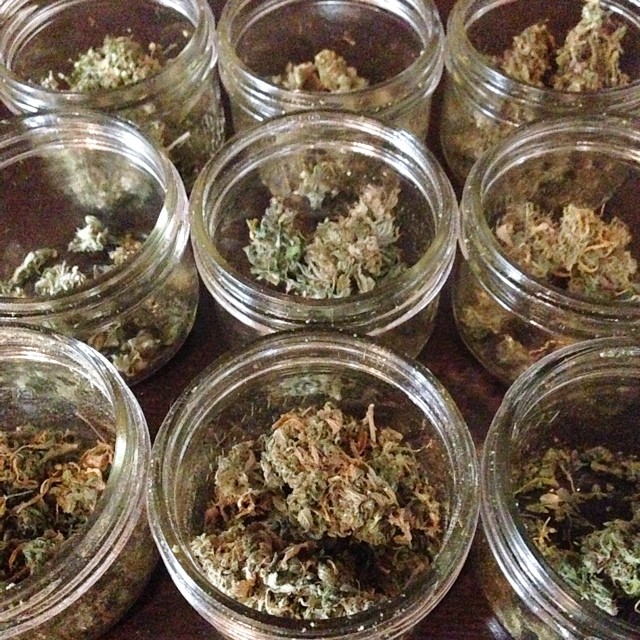weed jars